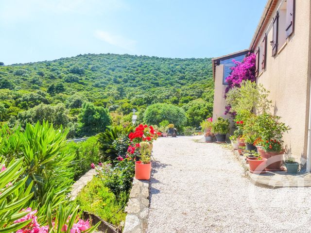 Afficher la photo en grand maison à vendre - 4 pièces - 105.0 m2 - LA CROIX VALMER - 83 - PROVENCE-ALPES-COTE-D-AZUR - Century 21 Bianchi Transactions