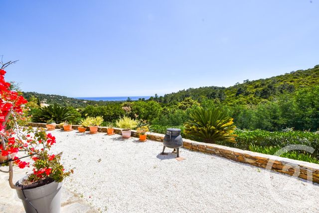 Afficher la photo en grand maison à vendre - 4 pièces - 105.0 m2 - LA CROIX VALMER - 83 - PROVENCE-ALPES-COTE-D-AZUR - Century 21 Bianchi Transactions