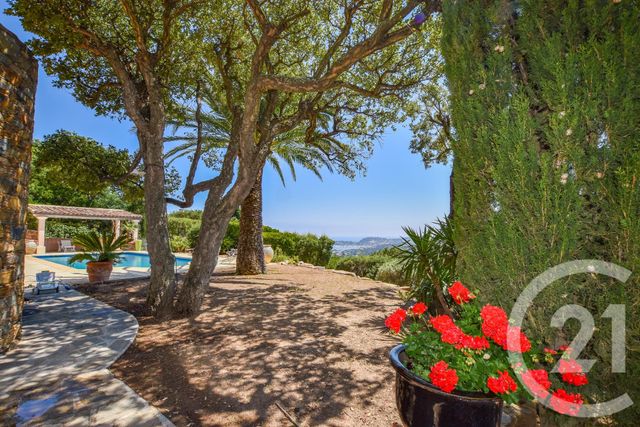 Afficher la photo en grand maison à vendre - 6 pièces - 195.0 m2 - CAVALAIRE SUR MER - 83 - PROVENCE-ALPES-COTE-D-AZUR - Century 21 Bianchi Transactions