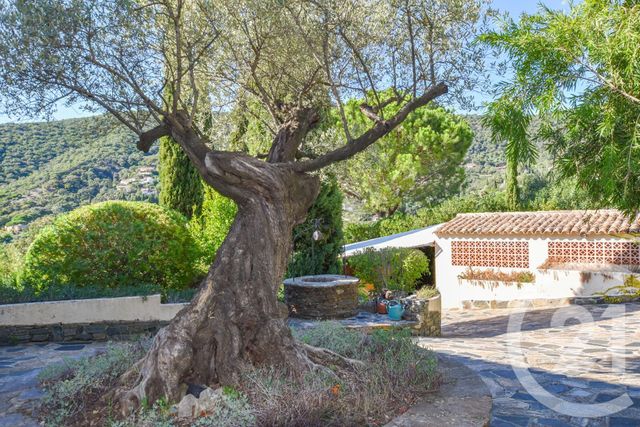 Afficher la photo en grand maison à vendre - 10 pièces - 280.0 m2 - LA CROIX VALMER - 83 - PROVENCE-ALPES-COTE-D-AZUR - Century 21 Bianchi Transactions
