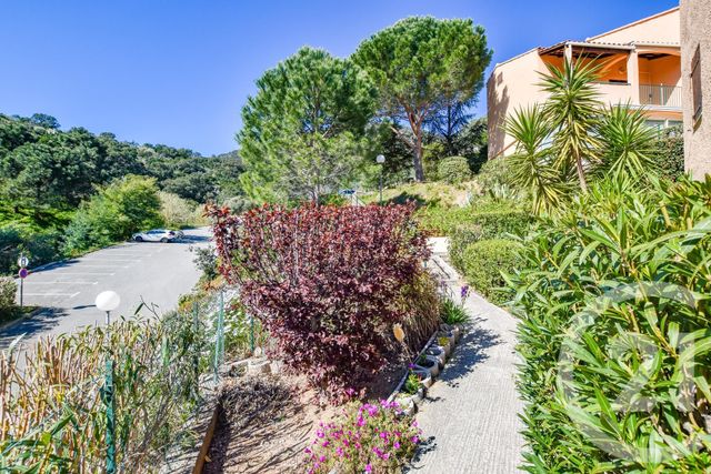 Afficher la photo en grand Appartement T3 à vendre - 3 pièces - 57.0 m2 - CAVALAIRE SUR MER - 83 - PROVENCE-ALPES-COTE-D-AZUR - Century 21 Bianchi Transactions
