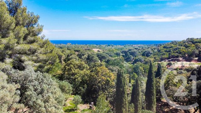 Afficher la photo en grand Appartement T5 à vendre - 5 pièces - 165.0 m2 - CAVALAIRE SUR MER - 83 - PROVENCE-ALPES-COTE-D-AZUR - Century 21 Bianchi Transactions