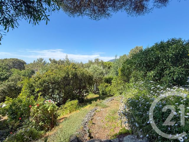 maison à vendre - 6 pièces - 151.46 m2 - LA CROIX VALMER - 83 - PROVENCE-ALPES-COTE-D-AZUR - Century 21 Bianchi Transactions