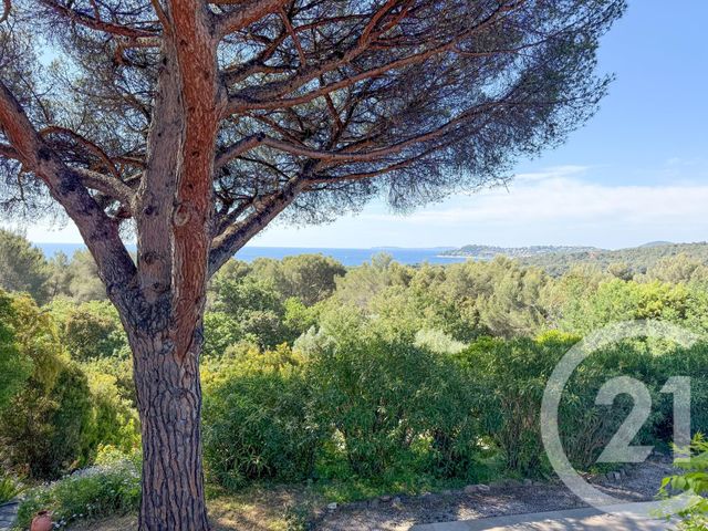 maison à vendre - 6 pièces - 151.46 m2 - LA CROIX VALMER - 83 - PROVENCE-ALPES-COTE-D-AZUR - Century 21 Bianchi Transactions