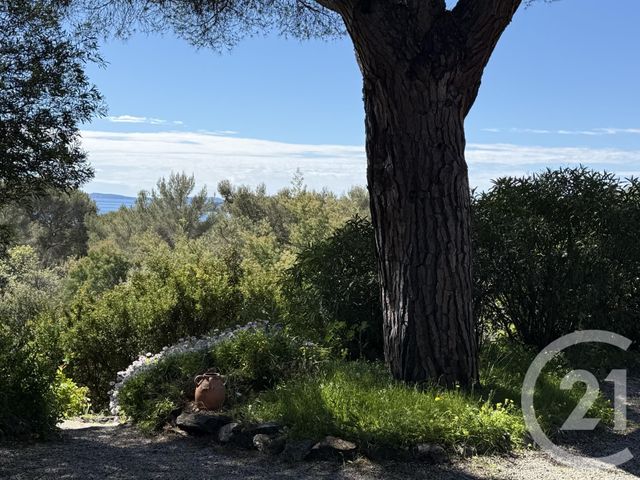 maison à vendre - 6 pièces - 151.46 m2 - LA CROIX VALMER - 83 - PROVENCE-ALPES-COTE-D-AZUR - Century 21 Bianchi Transactions