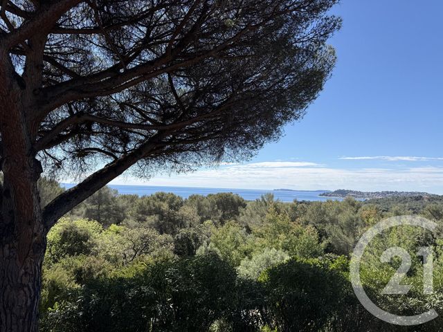 maison à vendre - 6 pièces - 151.46 m2 - LA CROIX VALMER - 83 - PROVENCE-ALPES-COTE-D-AZUR - Century 21 Bianchi Transactions