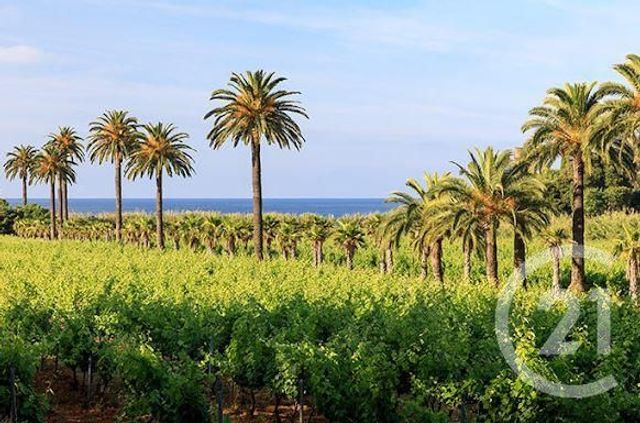 maison à vendre - 5 pièces - 182.7 m2 - LA CROIX VALMER - 83 - PROVENCE-ALPES-COTE-D-AZUR - Century 21 Bianchi Transactions