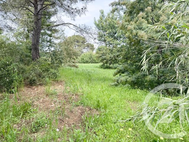 terrain à vendre - 1200.09 m2 - LA CROIX VALMER - 83 - PROVENCE-ALPES-COTE-D-AZUR - Century 21 Bianchi Transactions