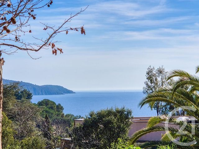 maison à vendre - 4 pièces - 117.0 m2 - LA CROIX VALMER - 83 - PROVENCE-ALPES-COTE-D-AZUR - Century 21 Bianchi Transactions