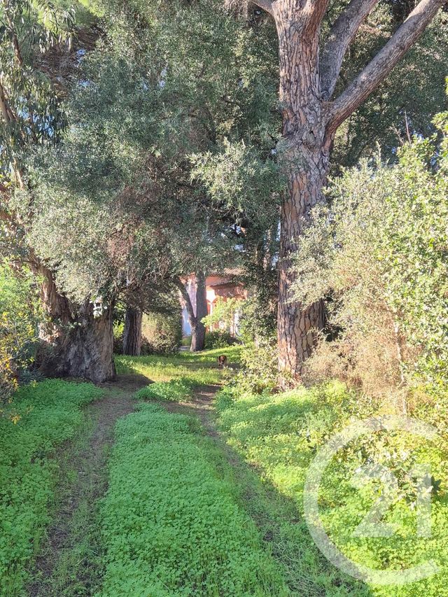 maison à vendre - 6 pièces - 150.0 m2 - CAVALAIRE SUR MER - 83 - PROVENCE-ALPES-COTE-D-AZUR - Century 21 Bianchi Transactions