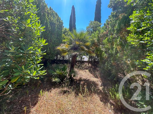 maison à vendre - 3 pièces - 58.04 m2 - CAVALAIRE SUR MER - 83 - PROVENCE-ALPES-COTE-D-AZUR - Century 21 Bianchi Transactions