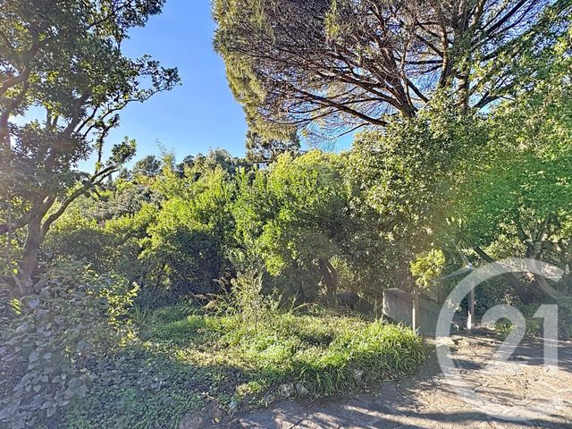 maison à vendre - 4 pièces - 106.0 m2 - LA CROIX VALMER - 83 - PROVENCE-ALPES-COTE-D-AZUR - Century 21 Bianchi Transactions