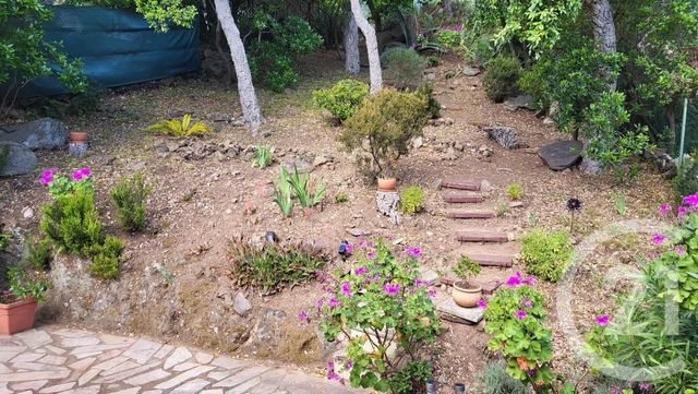 maison à vendre - 4 pièces - 54.0 m2 - CAVALAIRE SUR MER - 83 - PROVENCE-ALPES-COTE-D-AZUR - Century 21 Bianchi Transactions