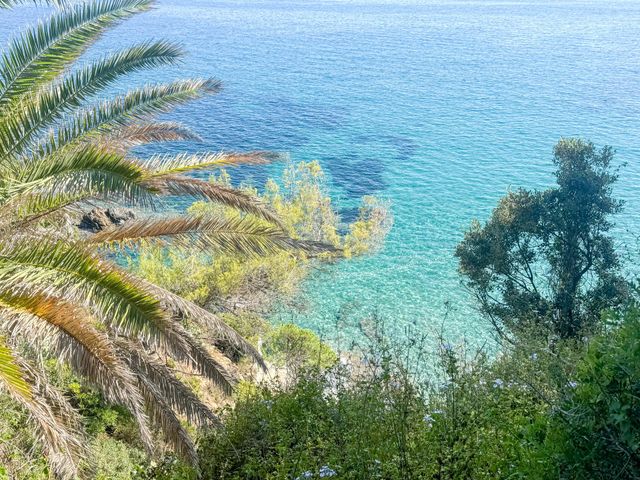 maison à vendre - 8 pièces - 187.0 m2 - LA CROIX VALMER - 83 - PROVENCE-ALPES-COTE-D-AZUR - Century 21 Bianchi Transactions