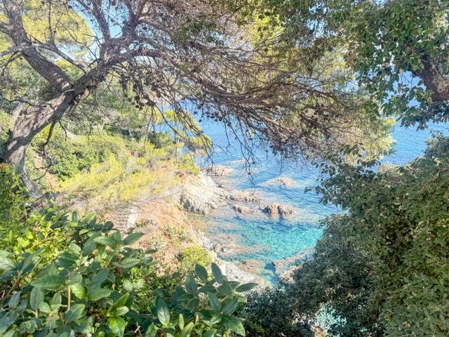 maison à vendre - 8 pièces - 187.0 m2 - LA CROIX VALMER - 83 - PROVENCE-ALPES-COTE-D-AZUR - Century 21 Bianchi Transactions