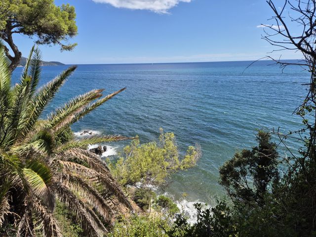 maison à vendre - 8 pièces - 187.0 m2 - LA CROIX VALMER - 83 - PROVENCE-ALPES-COTE-D-AZUR - Century 21 Bianchi Transactions