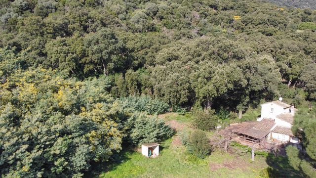 maison à vendre - 4 pièces - 105.0 m2 - CAVALAIRE SUR MER - 83 - PROVENCE-ALPES-COTE-D-AZUR - Century 21 Bianchi Transactions