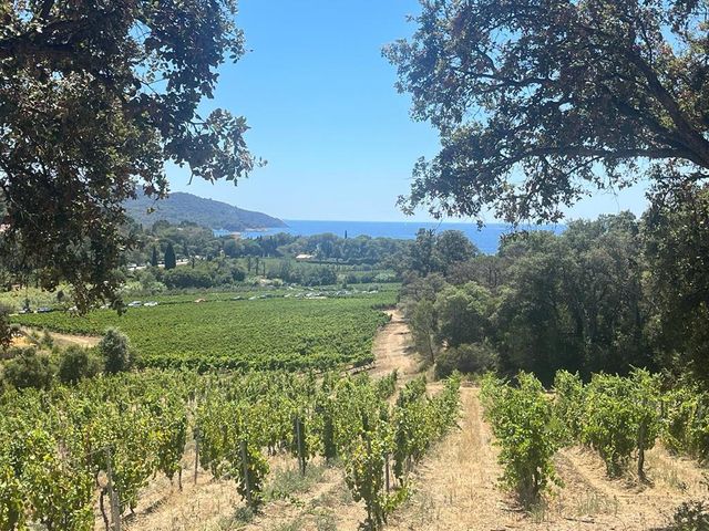 maison à vendre - 5 pièces - 142.0 m2 - LA CROIX VALMER - 83 - PROVENCE-ALPES-COTE-D-AZUR - Century 21 Bianchi Transactions