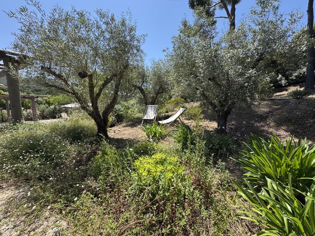 maison à vendre - 7 pièces - 250.0 m2 - LA CROIX VALMER - 83 - PROVENCE-ALPES-COTE-D-AZUR - Century 21 Bianchi Transactions