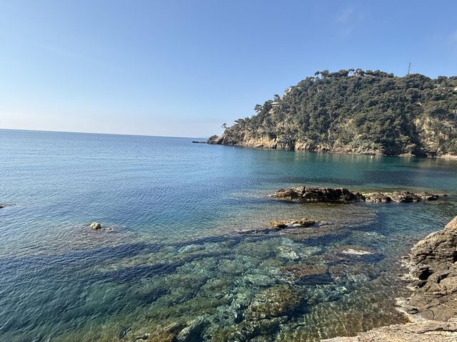 maison à vendre - 6 pièces - 160.0 m2 - CAVALAIRE SUR MER - 83 - PROVENCE-ALPES-COTE-D-AZUR - Century 21 Bianchi Transactions