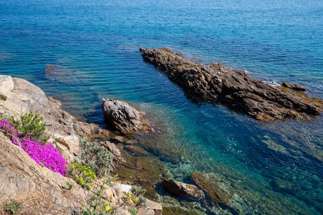 maison à vendre - 6 pièces - 160.0 m2 - CAVALAIRE SUR MER - 83 - PROVENCE-ALPES-COTE-D-AZUR - Century 21 Bianchi Transactions