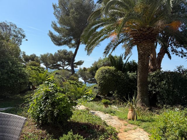 maison à vendre - 20 pièces - 360.0 m2 - LA CROIX VALMER - 83 - PROVENCE-ALPES-COTE-D-AZUR - Century 21 Bianchi Transactions