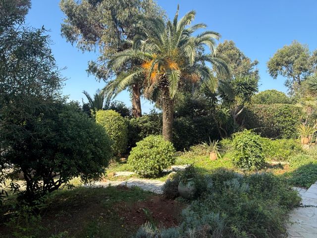 maison à vendre - 20 pièces - 360.0 m2 - LA CROIX VALMER - 83 - PROVENCE-ALPES-COTE-D-AZUR - Century 21 Bianchi Transactions