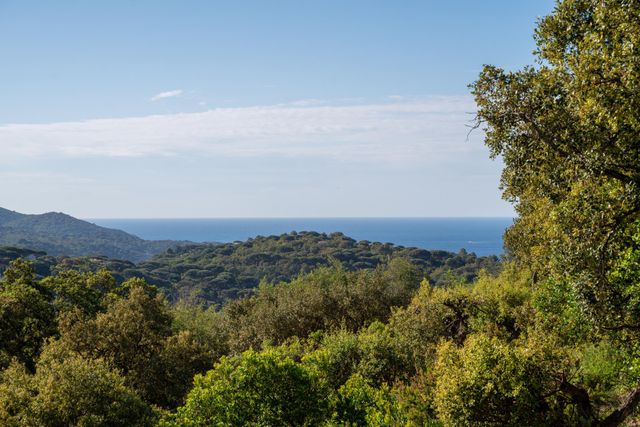 maison à vendre - 10 pièces - 330.0 m2 - LA CROIX VALMER - 83 - PROVENCE-ALPES-COTE-D-AZUR - Century 21 Bianchi Transactions