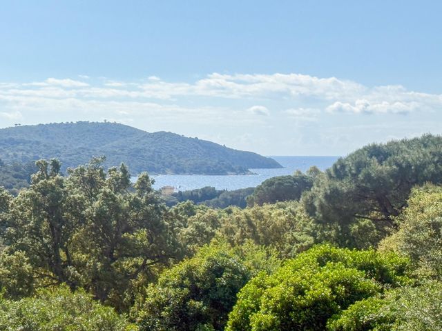 maison à vendre - 8 pièces - 270.0 m2 - LA CROIX VALMER - 83 - PROVENCE-ALPES-COTE-D-AZUR - Century 21 Bianchi Transactions