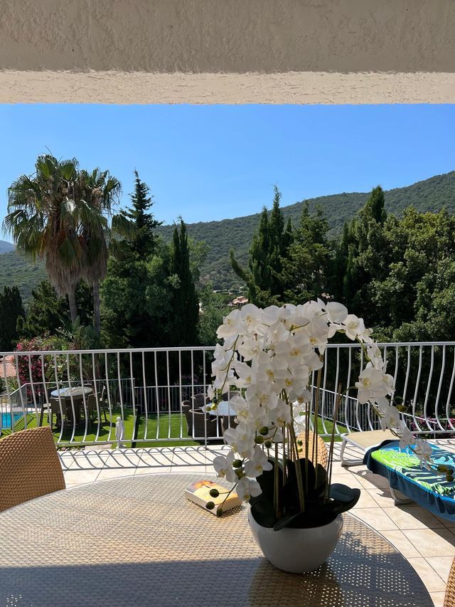 maison à vendre - 5 pièces - 119.8 m2 - LA CROIX VALMER - 83 - PROVENCE-ALPES-COTE-D-AZUR - Century 21 Bianchi Transactions