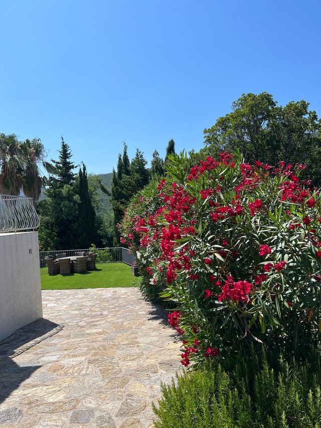 maison à vendre - 5 pièces - 119.8 m2 - LA CROIX VALMER - 83 - PROVENCE-ALPES-COTE-D-AZUR - Century 21 Bianchi Transactions